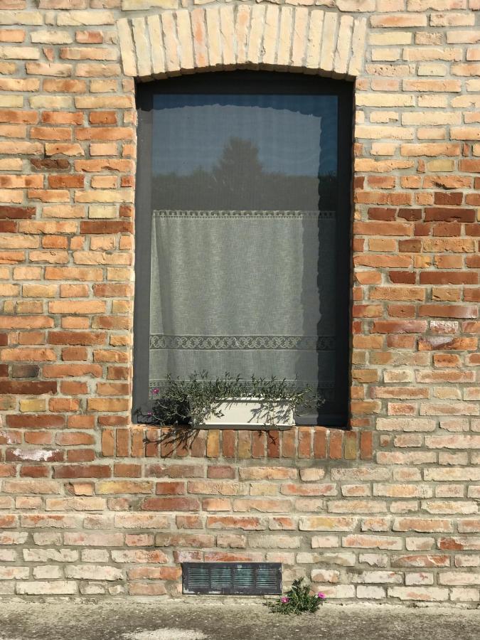 Agriturismo Il Colore Del Grano San Vittore  Exterior foto